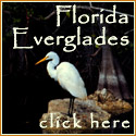 florida everglades guide